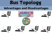 Advantages and Disadvantages of Bus Topology