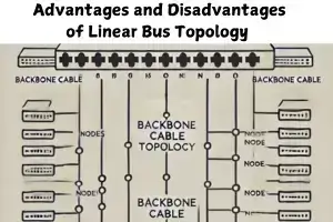 Advantages and Disadvantages of Linear Bus Topology 