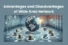 What are the Advantages and Disadvantages of Wide Area Networks?