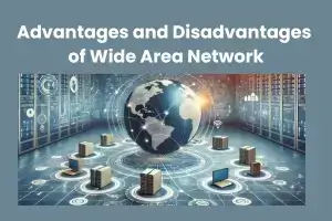 What are the Advantages and Disadvantages of Wide Area Networks?