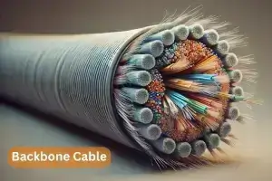 What Are Backbone Cables?