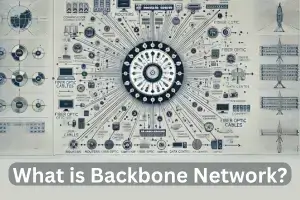 What is Backbone Network?