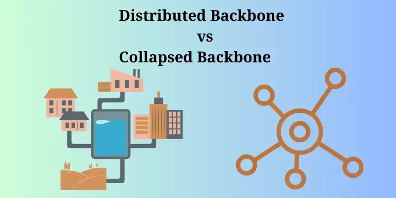Difference between Distributed Backbone vs Collapsed Backbone