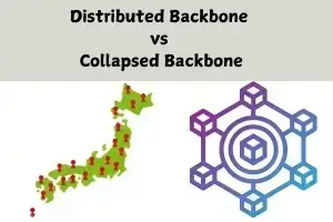 Difference Between Distributed Backbone vs Collapsed Backbone