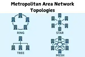 Learn  How Metropolitan Area Network Topologies Work