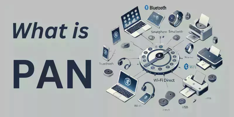 PAN-Advantages and Disadvantges of PAN