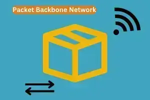 Packet Backbone Network