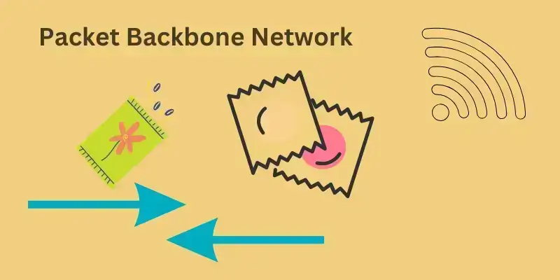 Packet Backbone Networks