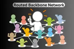 What is a Routed Backbone Network?