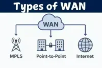 Types of Wide Area Networks Every Business Should Understand